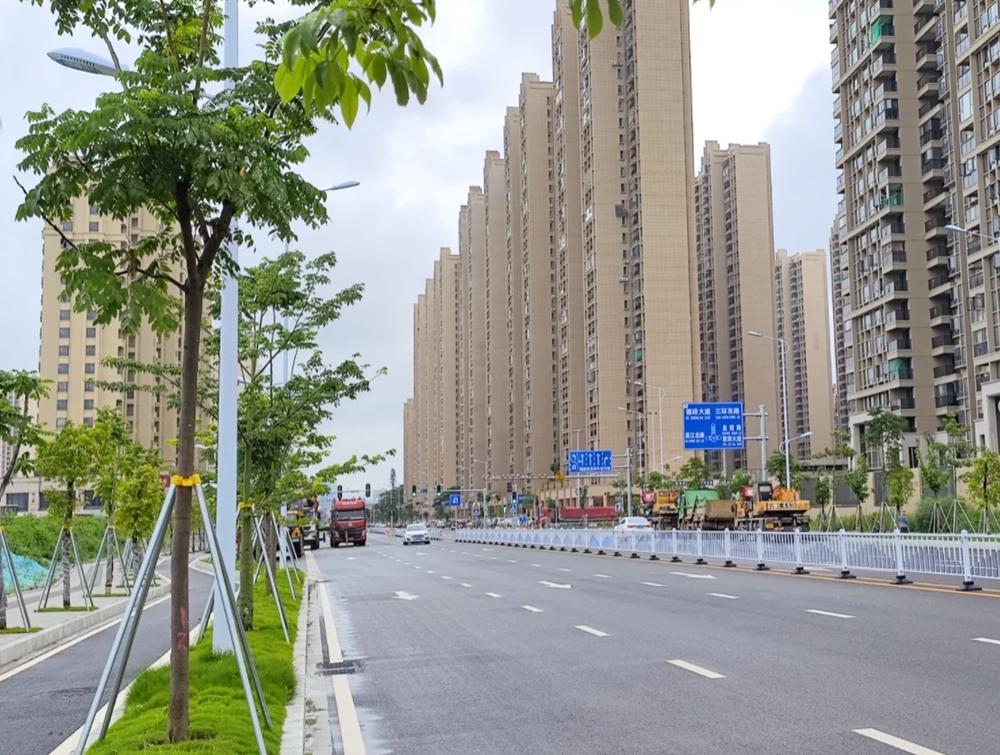 广州不锈钢盲道成隐患，多人摔倒事件引发社会关注