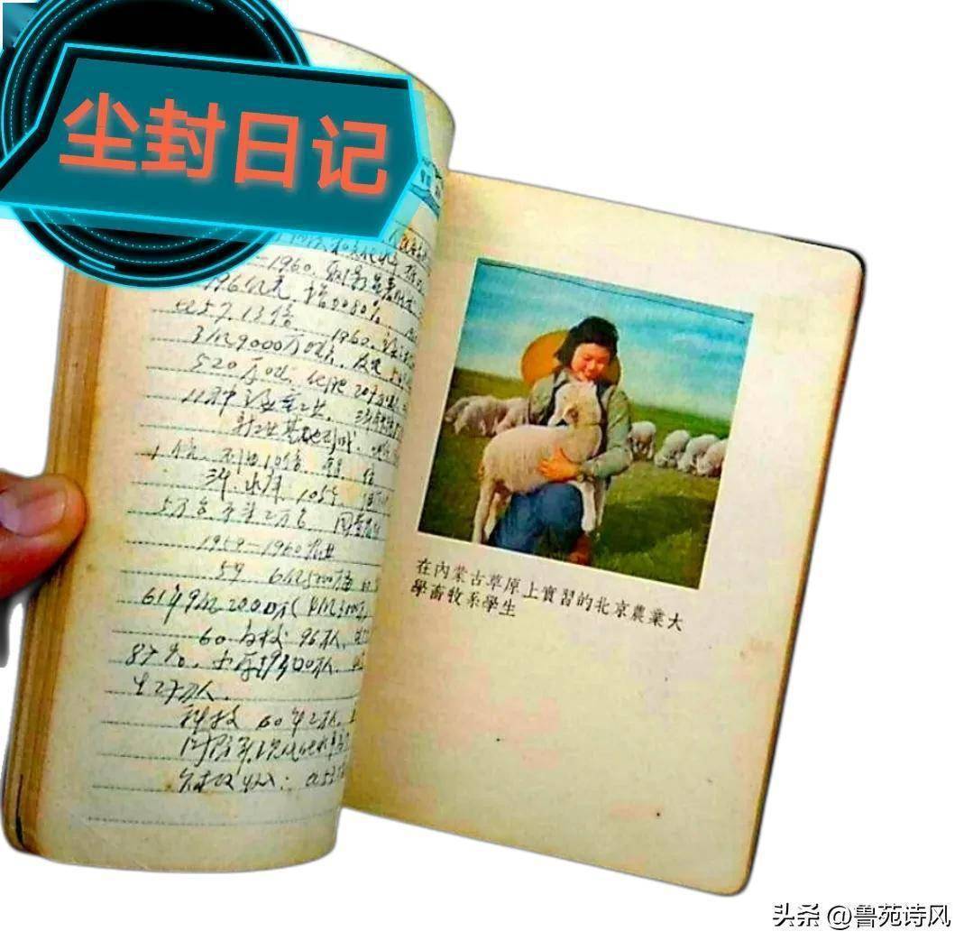 时光的回响，女子翻到去世21年母亲的日记，揭开尘封的记忆