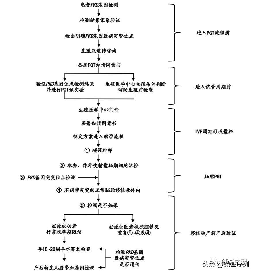 试管婴儿患肾病，父母要求医院担全责，探讨医疗责任与伦理边界
