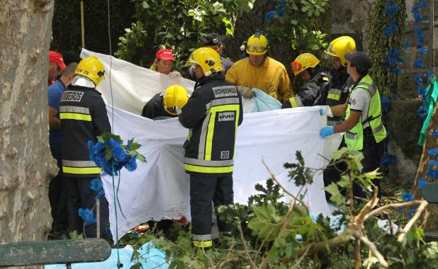 哥斯达黎加悲剧，男子沙滩爬树坠亡事件引发安全警示